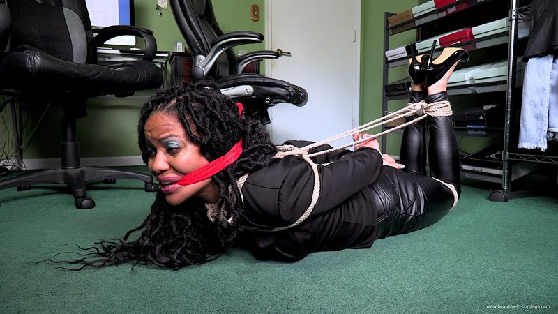 the_legal_secretary-800x450.jpg