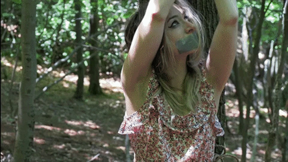 A Dish Served Cold.jpg